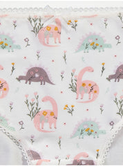 Dinosaurs Bow Briefs 10 Pack