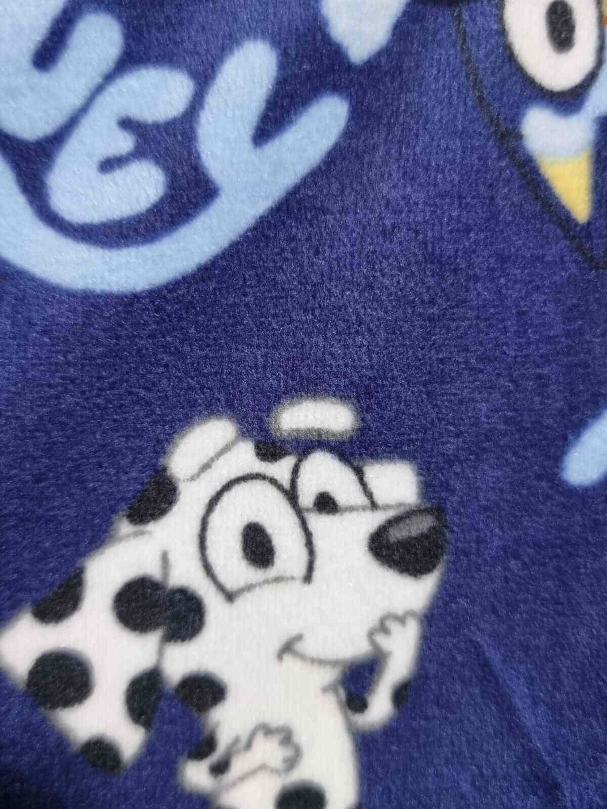 Disney’s Bluey Velour Pyjamas